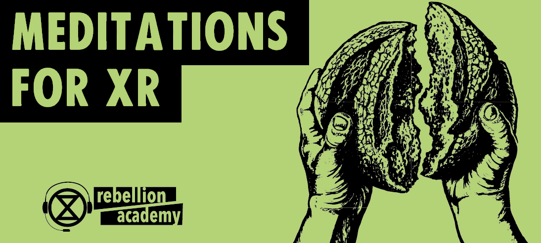 banner image saying "regenerative culture"